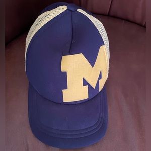 University of Michigan Adidas adjustable hat